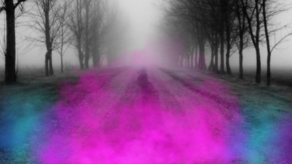 Framtiden med bataljonen