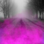 Rosa och blå rök stiger från en tom landsväg kantad av svarta träd.