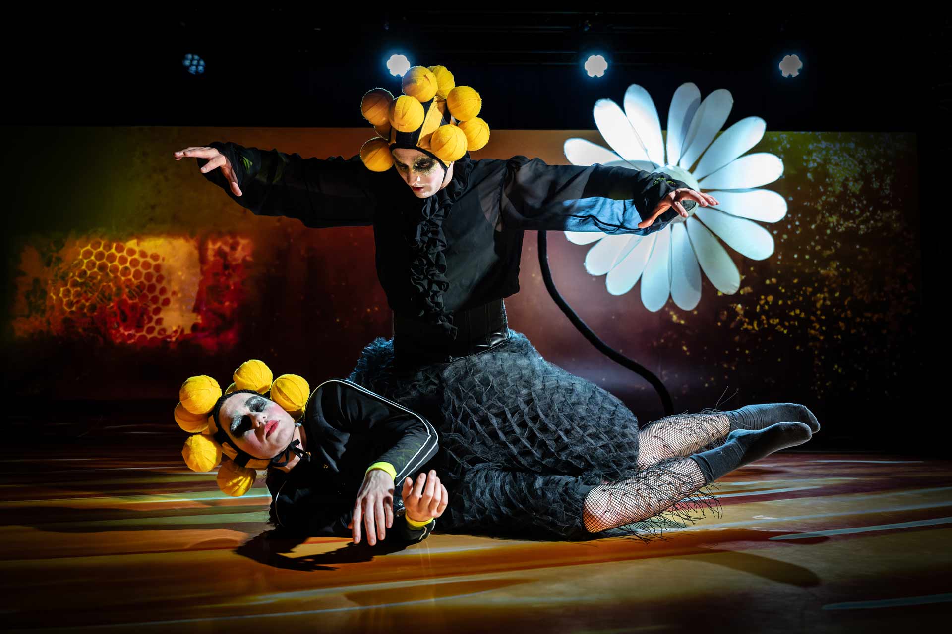 Honey Honey 2026V DSC6562d Foto Daniel Andersson 1920x1280 1