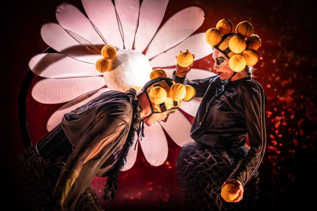 Honey Honey dans Foto Daniel Andersson 1241