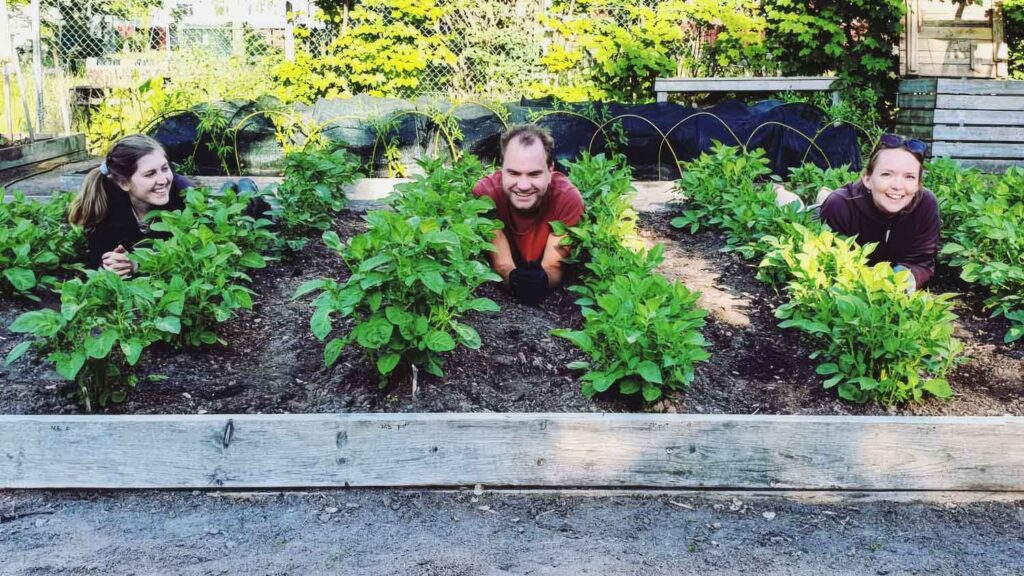 café iHOP: Beredskapsodling